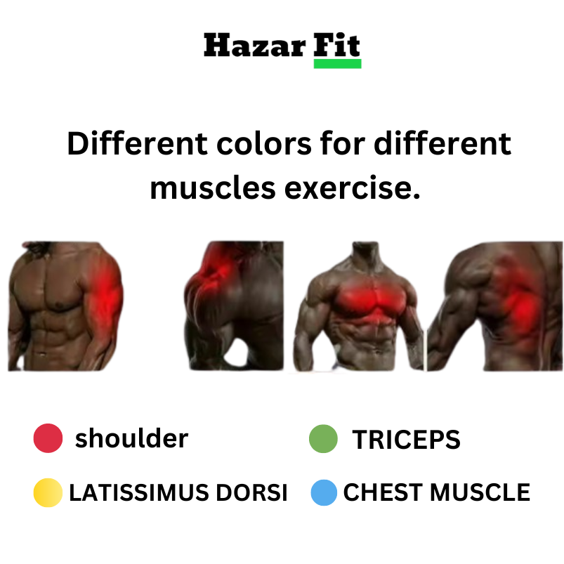 The Hazar fit™ Push Up Board